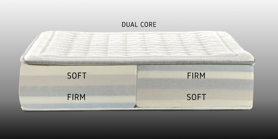 Dual-core.jpg Dual-core.jpg